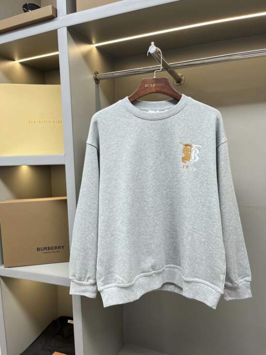 Picture of Burberry Sweatshirt _SKUBurberryS-2XLaztx870230962